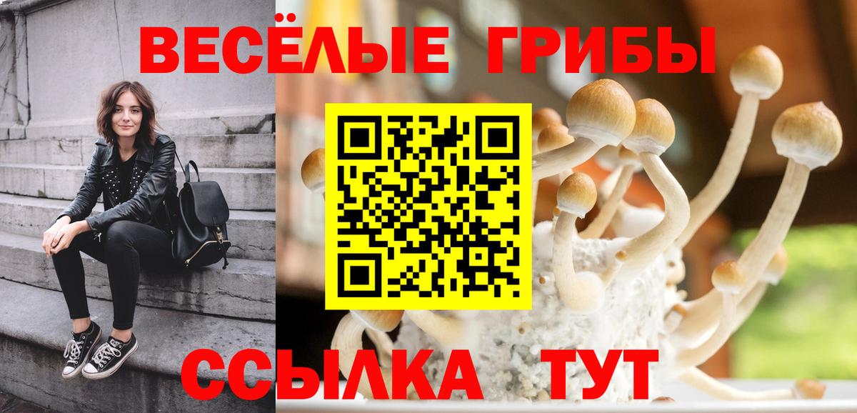 Псилоцибиновые грибы Psilocybe  Псилоцибиновые грибы Psilocybine cubensis  Вход с VPN  Лабинск 